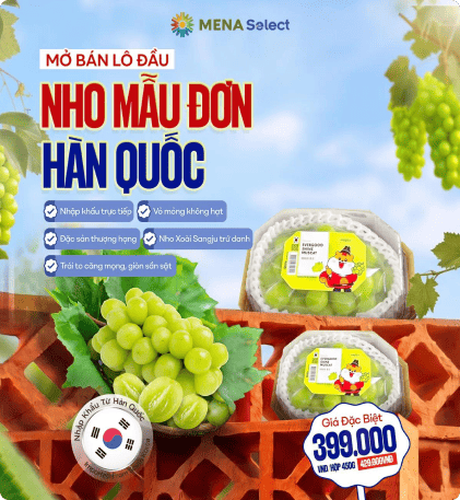 Nho mẫu đơn Hàn Quốc